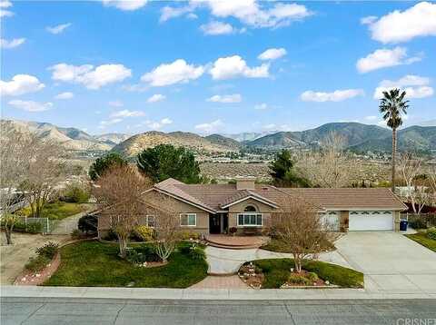 Palomino, ACTON, CA 93510