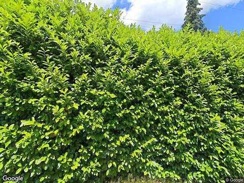 Pine, BREMERTON, WA 98311