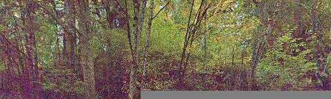 Sedgwick, PORT ORCHARD, WA 98366