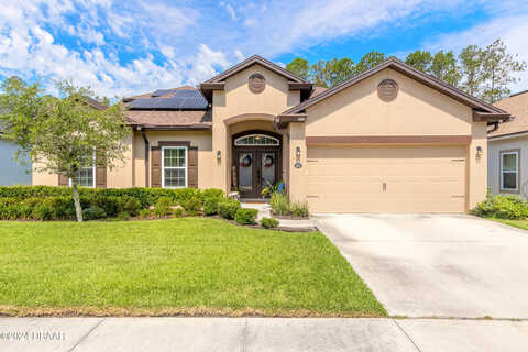 Coopers Hawk, PALM COAST, FL 32164