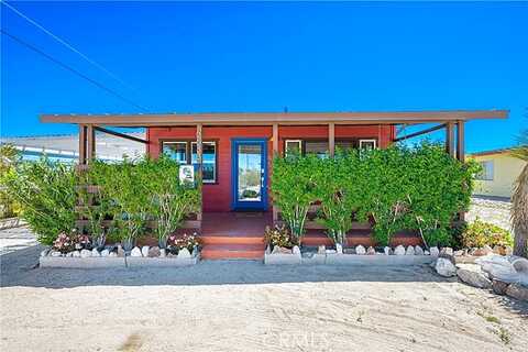 Datura, TWENTYNINE PALMS, CA 92277