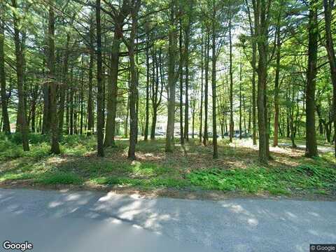 Sassafras, LEHIGHTON, PA 18235