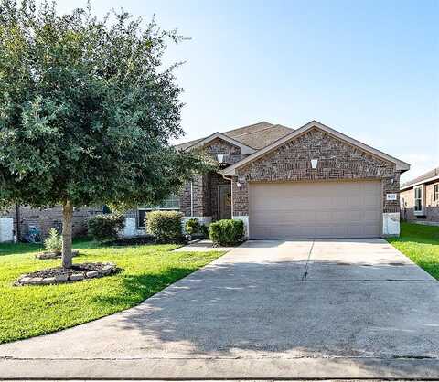 Firebrush, BAYTOWN, TX 77521