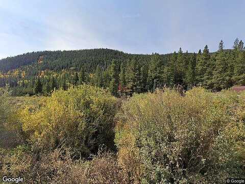County Road 60, GRANT, CO 80448