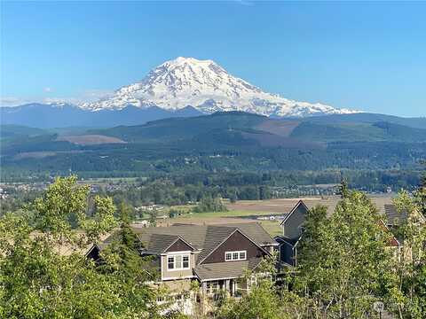 165Th, PUYALLUP, WA 98374