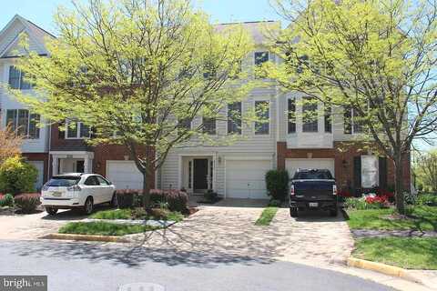 Gwynneth, CHANTILLY, VA 20152