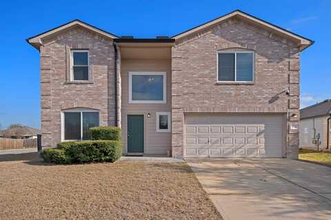 Wegstrom, HUTTO, TX 78634