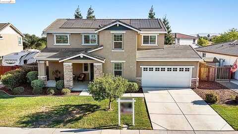 Lavender, BRENTWOOD, CA 94513
