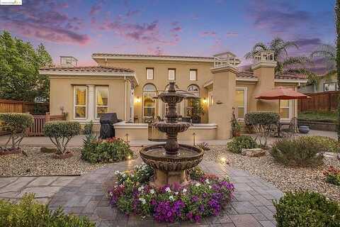 Gamay, BRENTWOOD, CA 94513