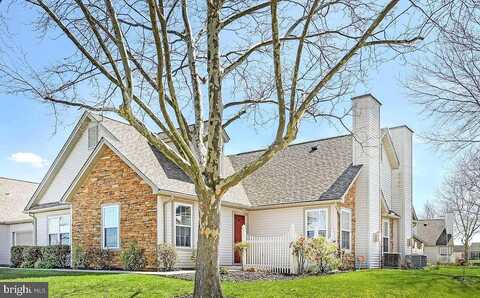 Blossom, LITTLESTOWN, PA 17340