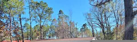 Indigo, LYONS, GA 30436