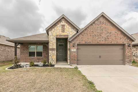 Norway Spruce, CROWLEY, TX 76036