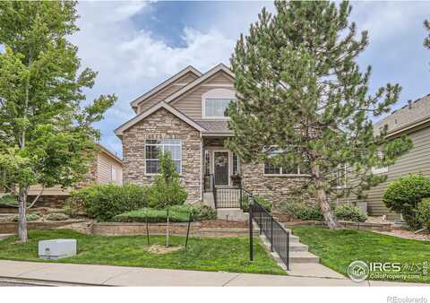 Golden Bear, LONGMONT, CO 80504