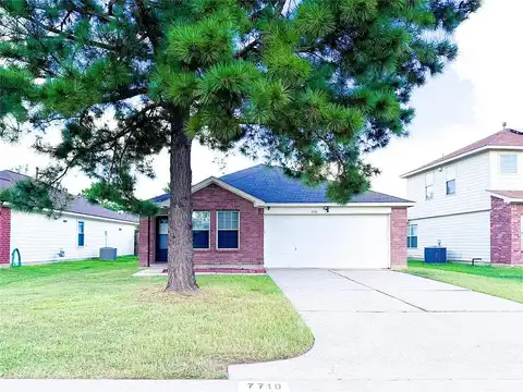 American Holly, CYPRESS, TX 77433