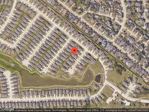 Cackling Goose, BAYTOWN, TX 77521