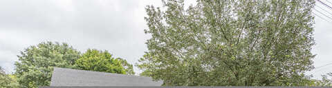 Dogwood, ROCK SPRING, GA 30739
