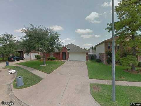 Camphor Tree, KATY, TX 77449