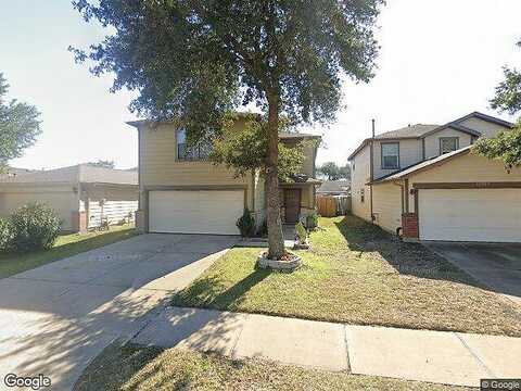 Pale Ivy, HOUSTON, TX 77072