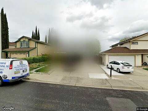 Dandelion, ANTIOCH, CA 94531