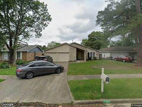 Foxwick, HUMBLE, TX 77338