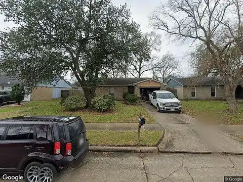 Scotch Pine, HOUSTON, TX 77049
