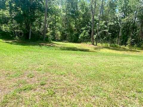 Treiman, WEBSTER, FL 33597