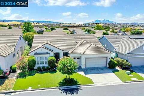 Tayberry, BRENTWOOD, CA 94513