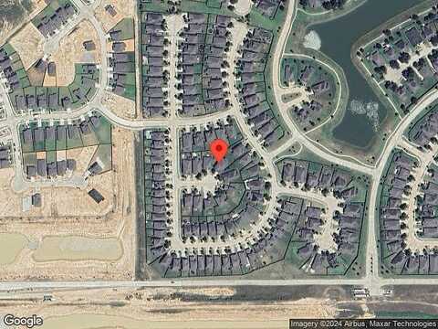 Chir Pine, CYPRESS, TX 77433