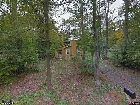 Wildflower, TOBYHANNA, PA 18466