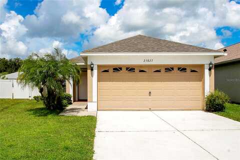 Syme, LAND O LAKES, FL 34639