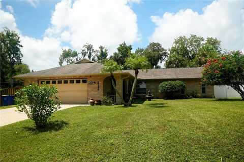 Lime Tree, EDGEWATER, FL 32141