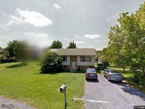 Killdeer, STEPHENS CITY, VA 22655