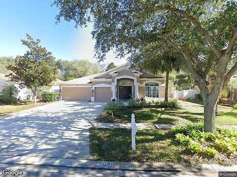 Samantha, VALRICO, FL 33594