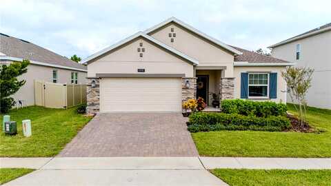 American Beech, OCOEE, FL 34761