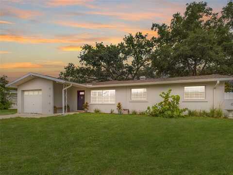 Prince Philip, CLEARWATER, FL 33755