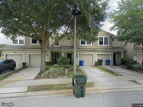 Purple Plum, OVIEDO, FL 32765