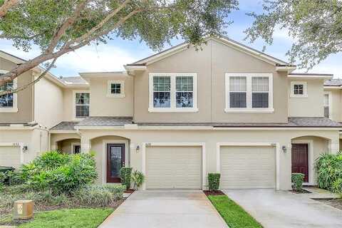 Purple Plum, OVIEDO, FL 32765