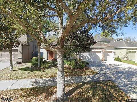 Misty Valley, BRANDON, FL 33510