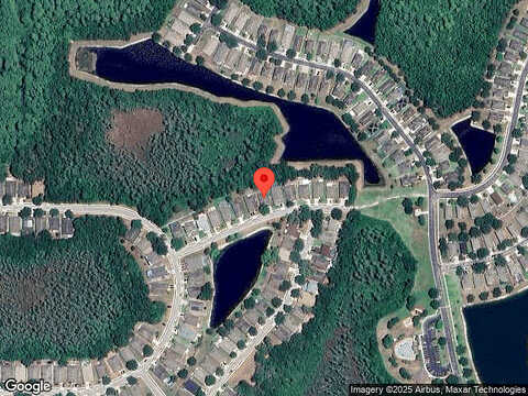 Fauna, HUDSON, FL 34669