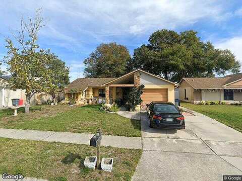Fuchsia, HOLIDAY, FL 34691