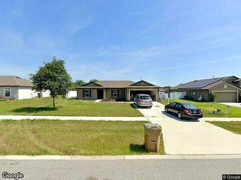 Callicarpa, LEESBURG, FL 34788