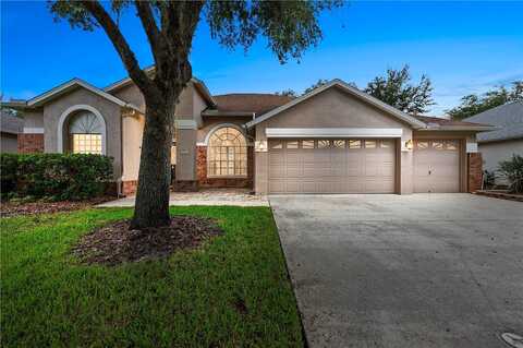 Azalea Ridge, TAMPA, FL 33647