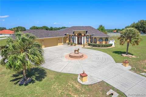 Crown Of Roses, INVERNESS, FL 34453