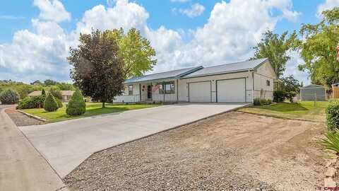 Oakland, MONTROSE, CO 81403