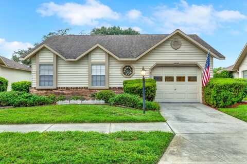 Wallingford, NEW PORT RICHEY, FL 34655