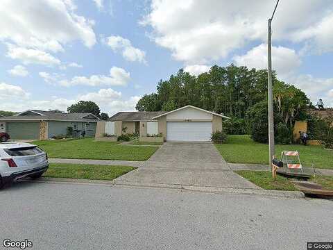 Swallowtail, NEW PORT RICHEY, FL 34653
