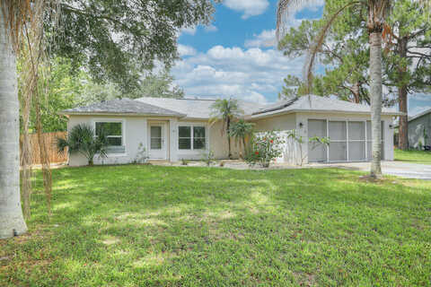 Bougainvillea, PALM BAY, FL 32907
