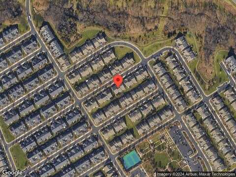 Maltese Falcon, ASHBURN, VA 20147
