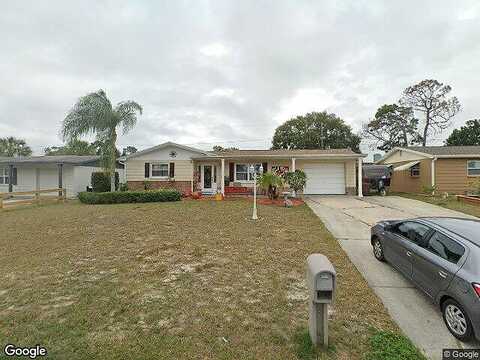 Ridgefield, HOLIDAY, FL 34691