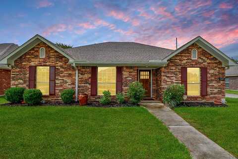 Saddlebred, MANVEL, TX 77578